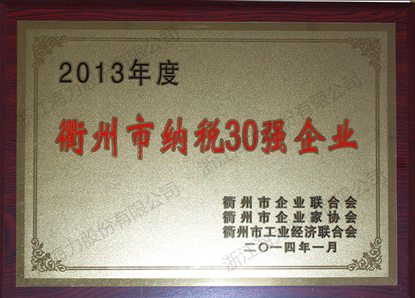 2013年度衢州市纳税30强企业